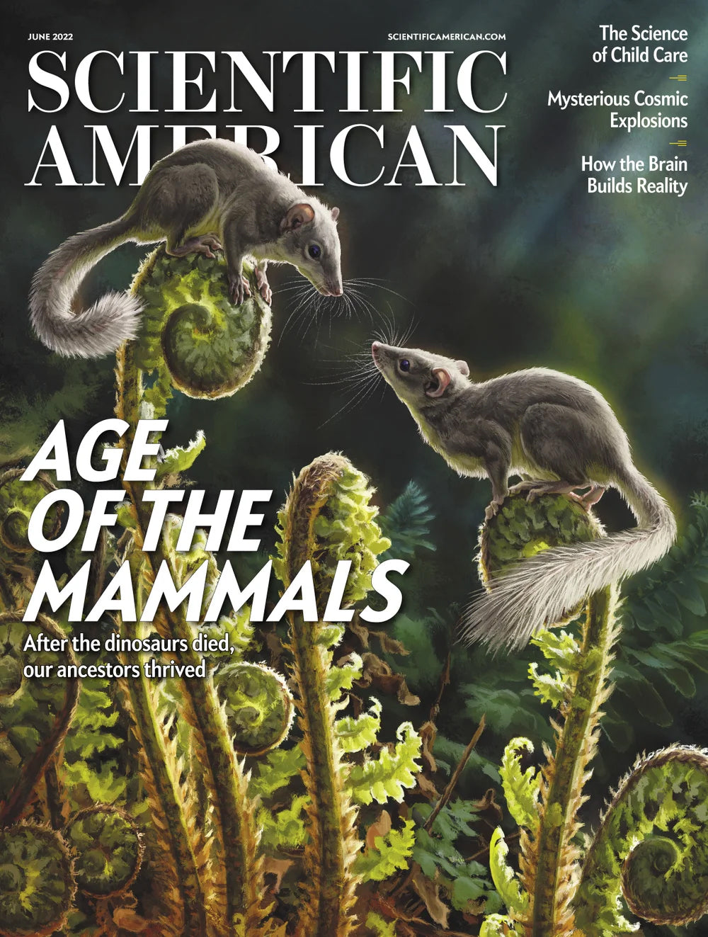 Scientific American