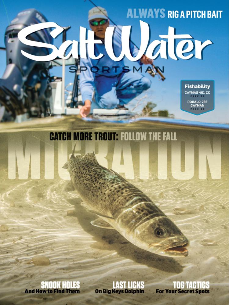 Saltwater Sportsman